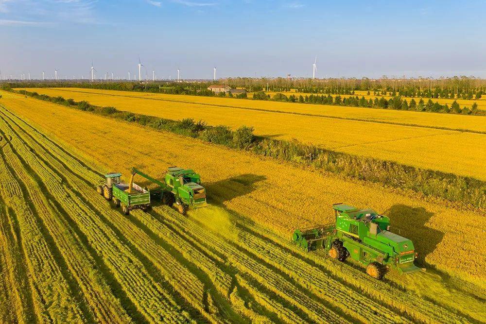 Creating a New “Model” of Modern Agriculture in Changji Prefecture, Xinjiang-msoen