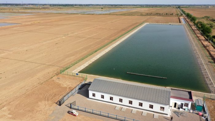 The first unmanned farm in Lianyungang City "smart" farming-msoen