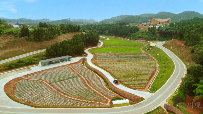 Unmanned Farm, Shangxin!-msoen