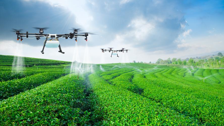 Drone “Flying Defense” Helps Stabilize Grain Crop Production and Increase Income-msoen