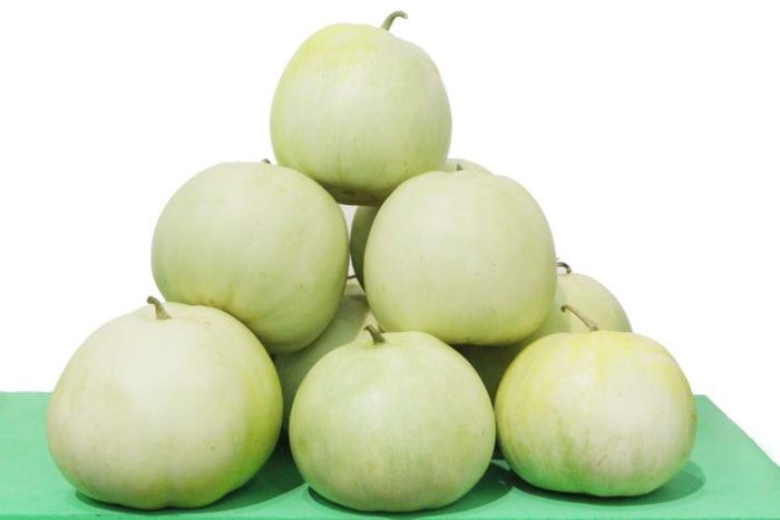 When the cantaloupe is ripe again-msoen