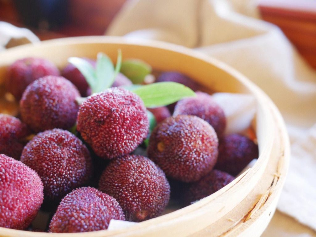 Zhejiang Yongjia Yangmei Exports Overseas for the First Time-agriculturalforum-agriculture-msoen