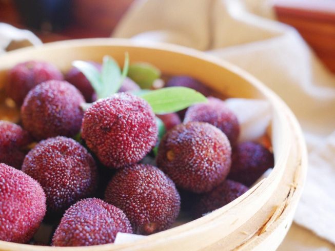 Zhejiang Yongjia Yangmei Exports Overseas for the First Time-msoen