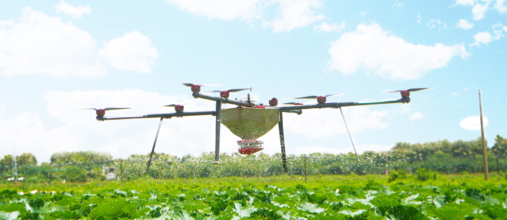 Dutch farms use high-tech to achieve precision production-agriculturalforum-agriculture-msoen