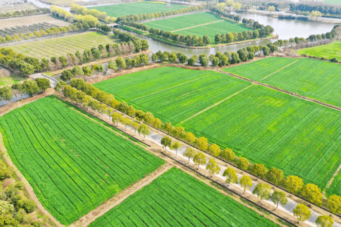 Six leading modern agricultural models in the world-msoen