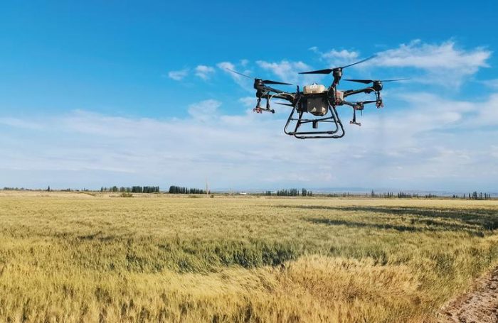 Cutting-Edge Agricultural Drones Revolutionize Crop Protection-msoen