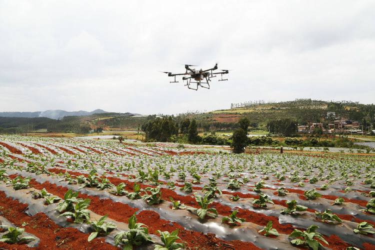 Najitun Farm: “Drones” to Assist in Comfortable Field Management-msoen