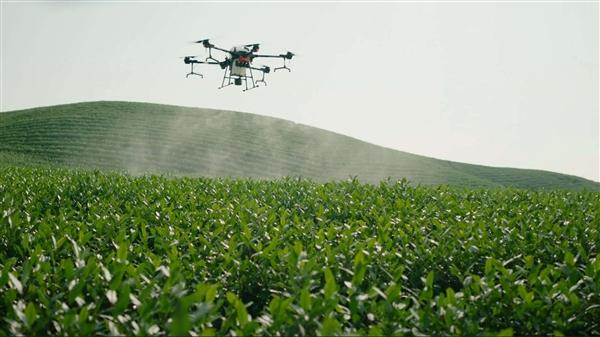 Digital Empowerment Brings Wisdom Wings to Rural Revitalization-msoen