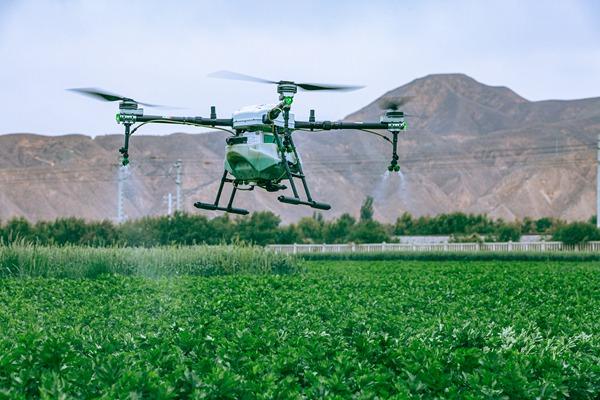 Drones provide protection for the healthy growth of crops-msoen