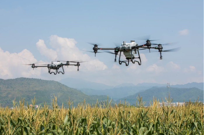 Plant protection drone flight prevention operation to ensure abundant harvest-msoen