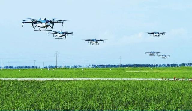 Smart agriculture accelerates industrial integration and boosts the economy-msoen