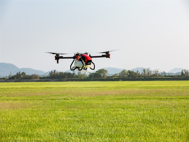 Shandong Chengwu: Drone flight defense operation busy-msoen