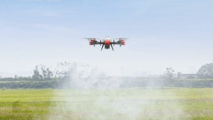 Strawberry planting takes intelligent steps-msoen