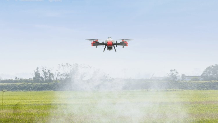 Farmers and herdsmen “plant grass” and artificial intelligence makes farming smarter-msoen