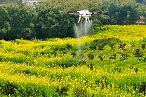 Develop modern agriculture-msoen