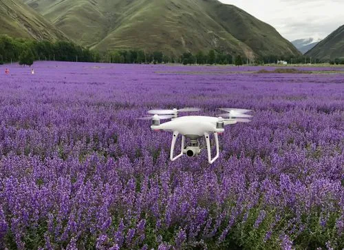 Drone fertilization and medication!-msoen
