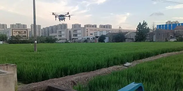 Agricultural drones assist in field management-msoen