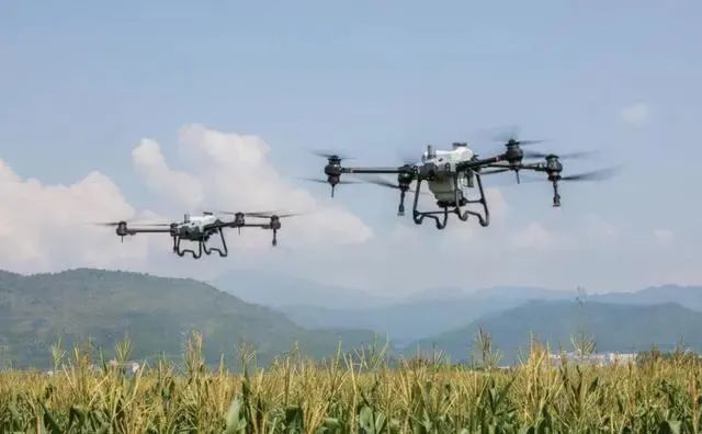 Smart Agriculture Becomes a New Engine for Rural Revitalization-msoen