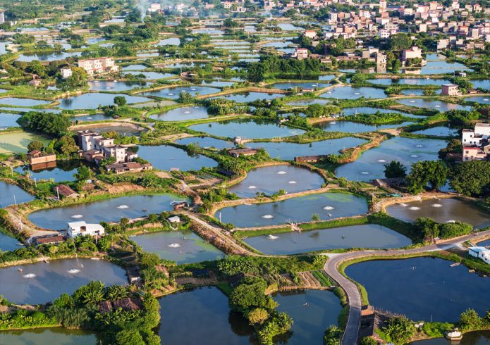 Developing ecological agriculture to make rural areas' sustainable 'beautiful-msoen