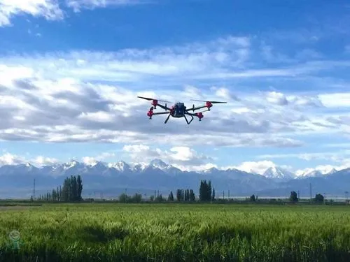 The “drone” has a significant effect on locust control-msoen