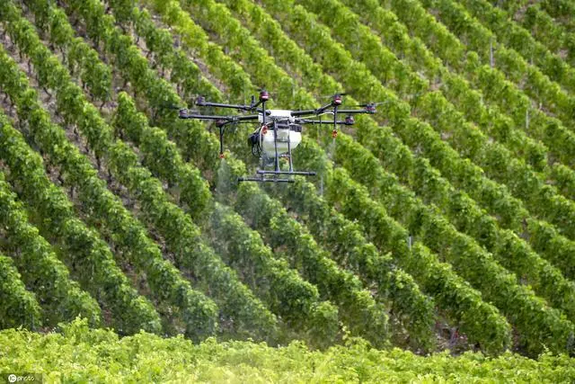 Rudong’s “unmanned farm” welcomes a bumper harvest-msoen