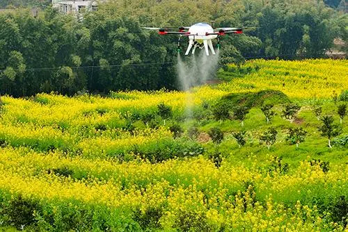 Farms are unmanned, with farmers sitting in offices and farming-msoen