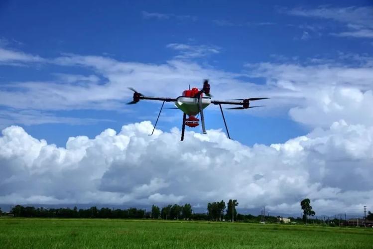 Digital rural governance flies into the homes of ordinary people-msoen