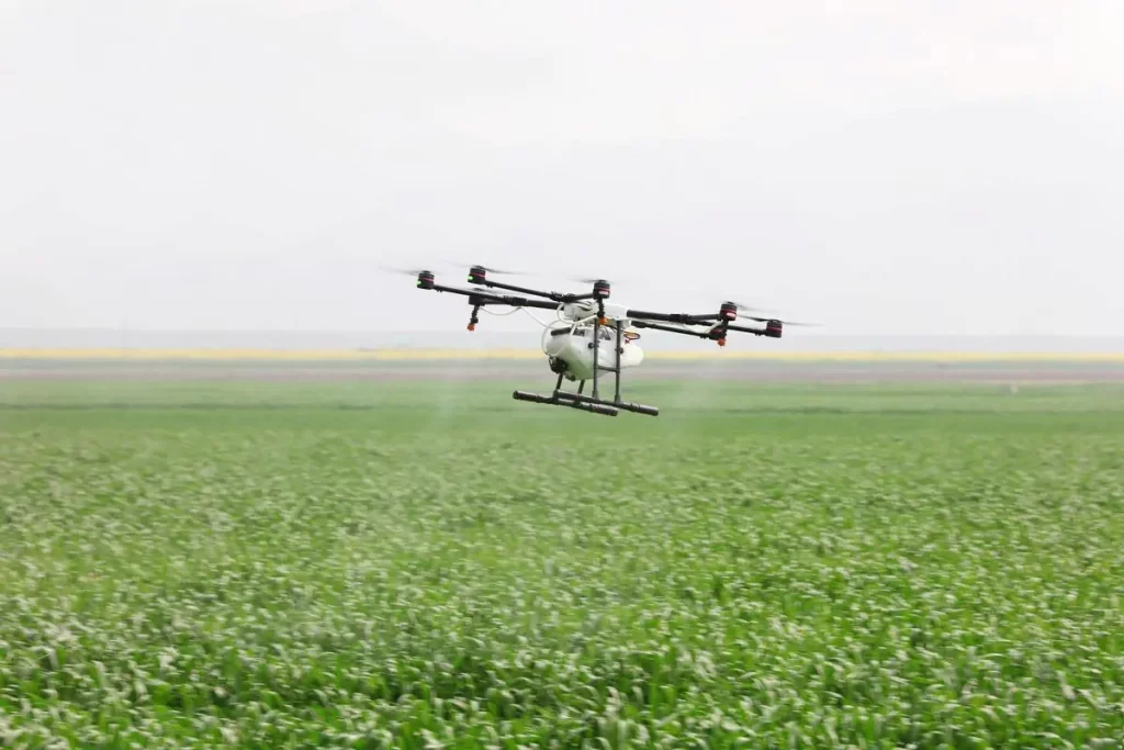 Dong’an: Solid guidance on rice technology-msoen