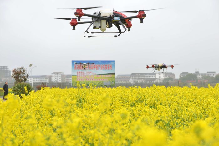 Drone plant protection helps to stabilize agricultural production and increase income-msoen