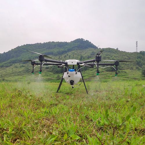 Using drones to fertilize rice in Xinfeng Village, Nanxiang Town-msoen