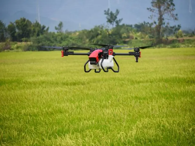 Ningjin, Shandong: Digital Agriculture Empowers Rural Revitalization-msoen