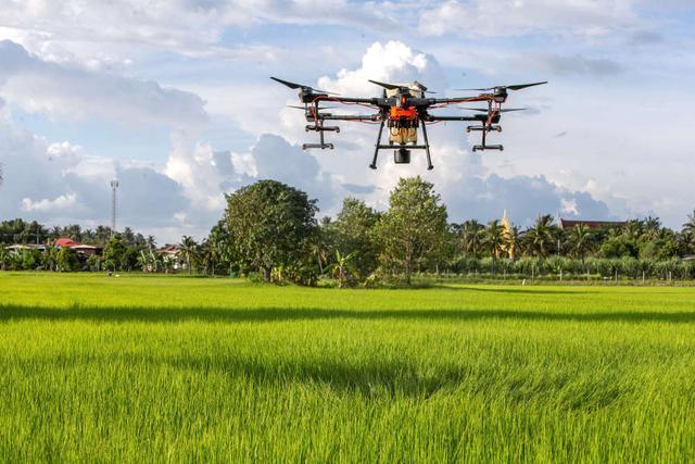Guigang Port North District: Field Management Rises a “Science and Technology Wind”-msoen