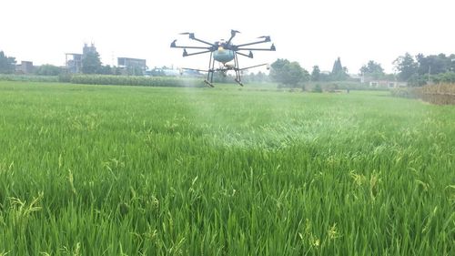 Play with Smart Agriculture and Ignite the Dream of Promoting Agriculture-msoen