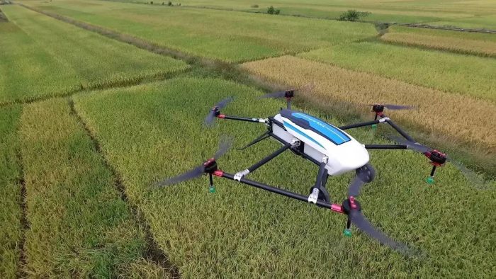 Tomatoes turn red, farmers are busy harvesting-msoen