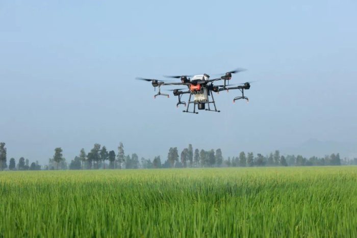 Shuimo Town, Wenchuan: Building a Smart Agricultural Science and Technology Innovation Park through School Land Cooperation-msoen
