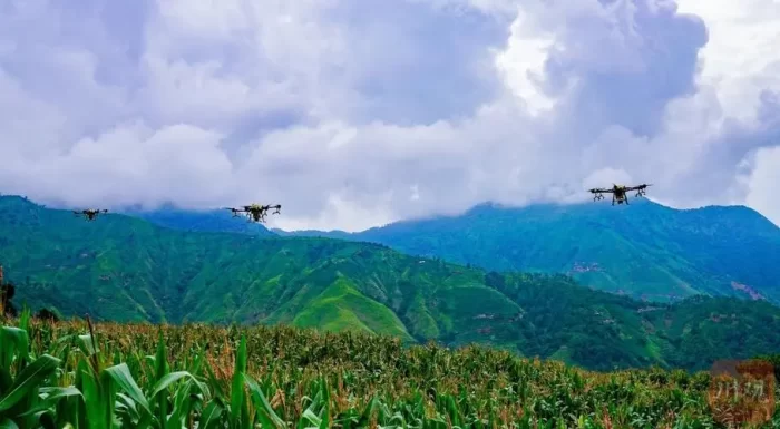 Strengthening the Development of Cattle Industry to Drive People's Income Increase and Prosperity-msoen