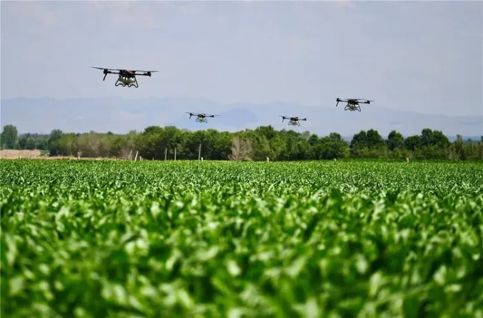 Liping County: Drones escort rice fields-msoen