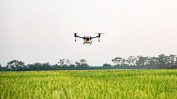 Dahongshan Building a Digital Demonstration Base for Smart Agriculture-msoen