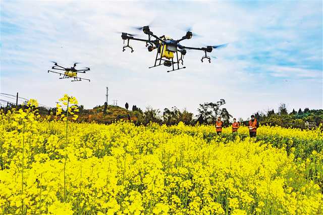 Intelligent agricultural meteorological escort planting efficiency-msoen