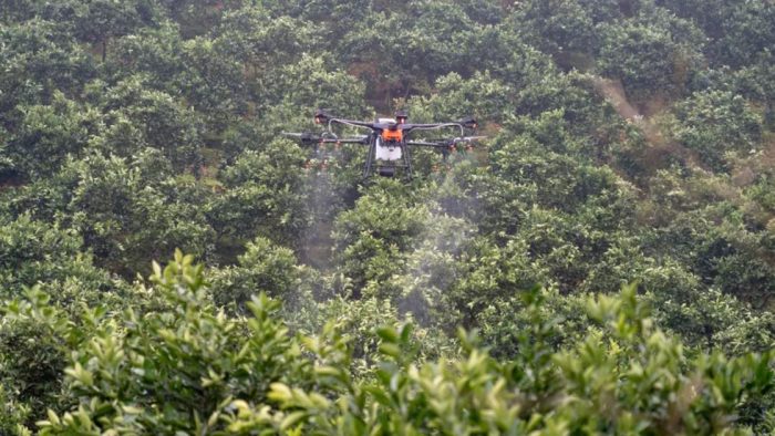 Digital technology empowers modern agriculture-msoen