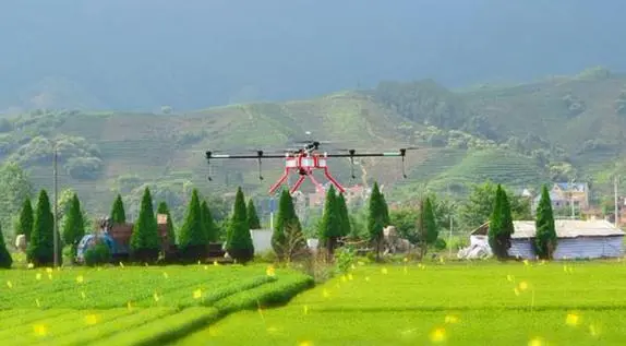 Luo Xiwen: Founder of an Unmanned Rice Farm-msoen