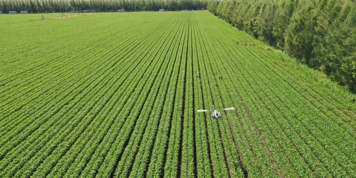 Plant Protection Drones Promote Harvest-msoen