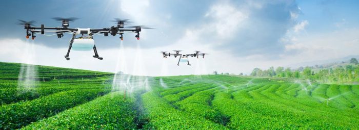 More efficient digital farming in agriculture-msoen