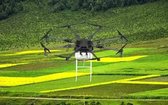 The first unmanned farm in Lianyungang City to be cultivated by “Hui”-msoen