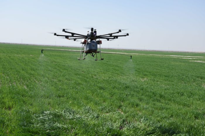 Weng'an, Guizhou: Good Scenery of Chili Harvest-msoen