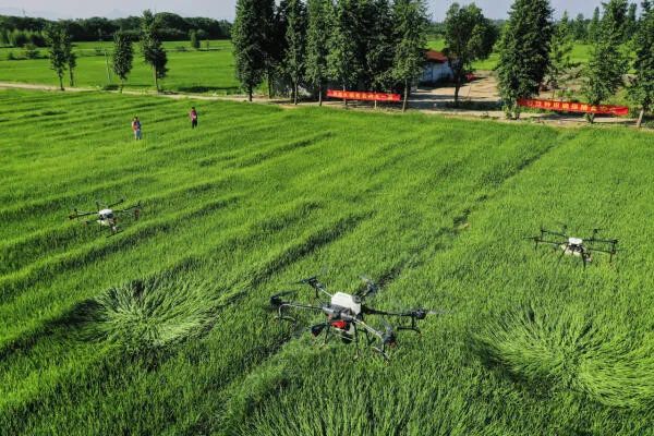New Farmers’ “Flying” on the Road to Wealth-msoen