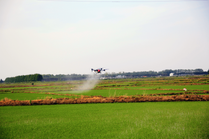 Drones Assisting Agriculture in Increasing Production and Income-msoen