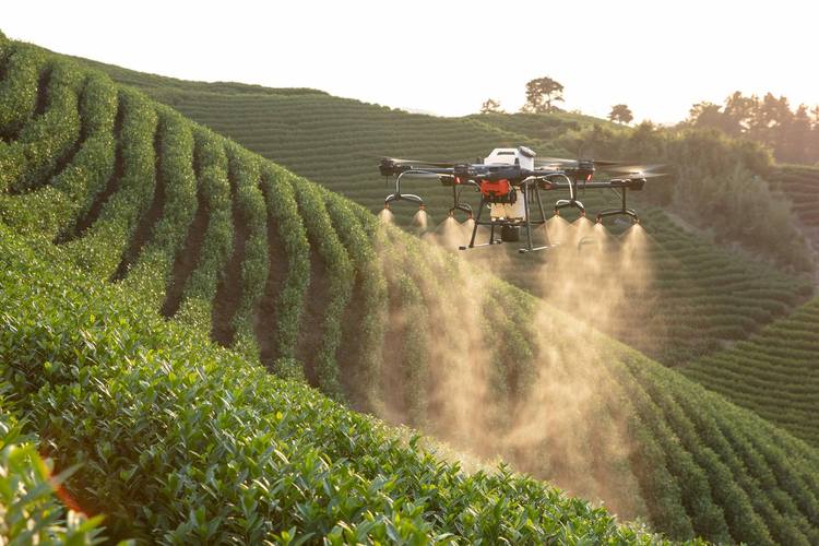 Jingxi: Drones “Escort” Grain Production-msoen