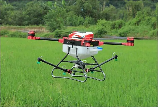 What does an unmanned orchard in the mountains where “Hui” plants trees look like?-msoen