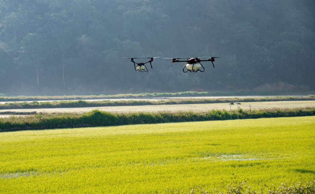 An Effective Way to Realize Intelligent Agriculture Algorithm Innovation-agriculturalforum-agriculture-msoen
